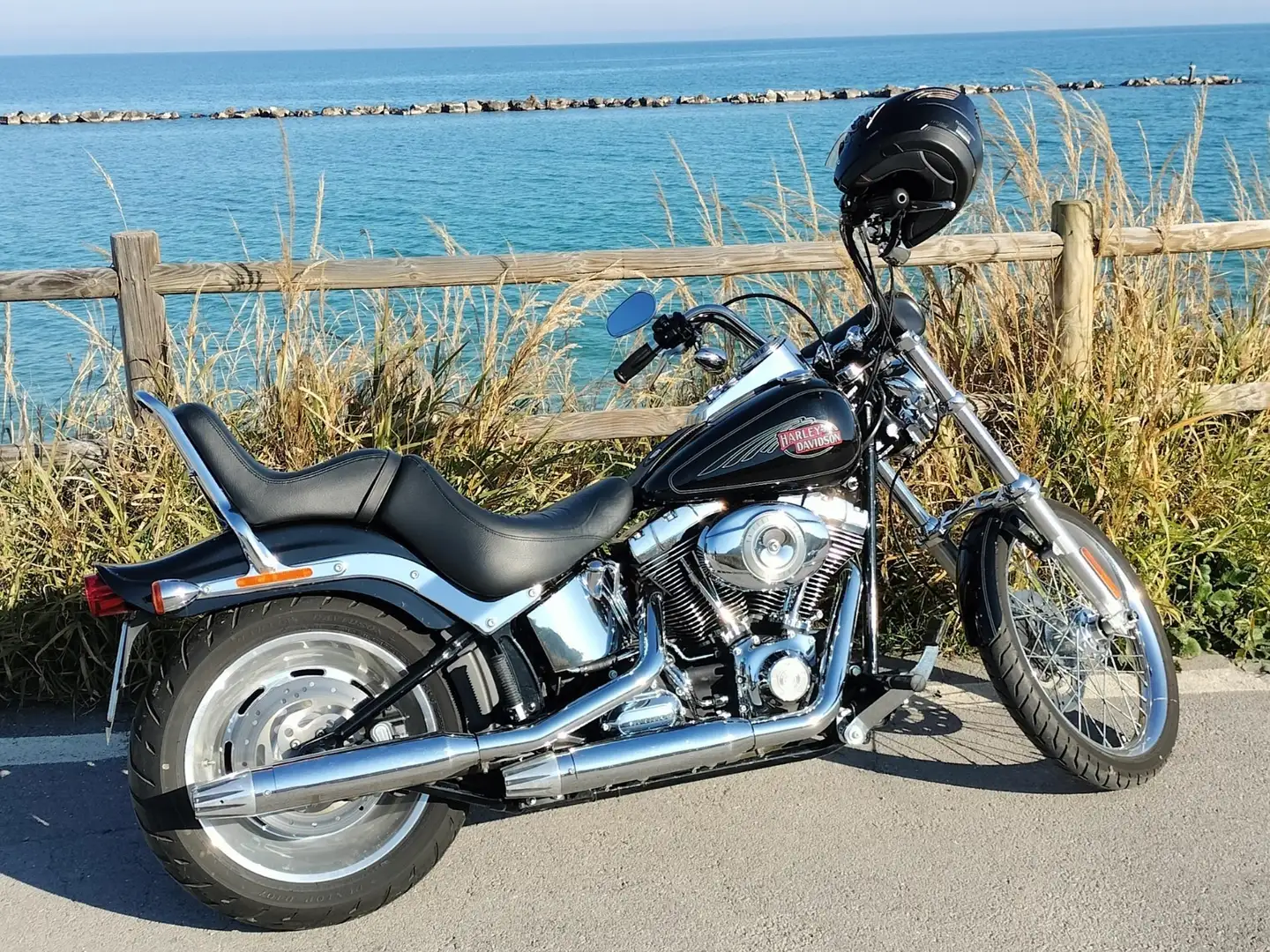 Harley-Davidson Softail Negro - 2