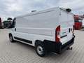Fiat Ducato KASTENWAGEN 33 L2H1 140MT Blanc - thumbnail 9