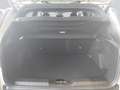 Jeep Avenger Elektro Summit My25 Beige - thumbnail 9