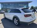 Audi A6 allroad 3.0TDI/MATRIX/360°/LEDER/STANDHEIZUNG Weiß - thumbnail 3