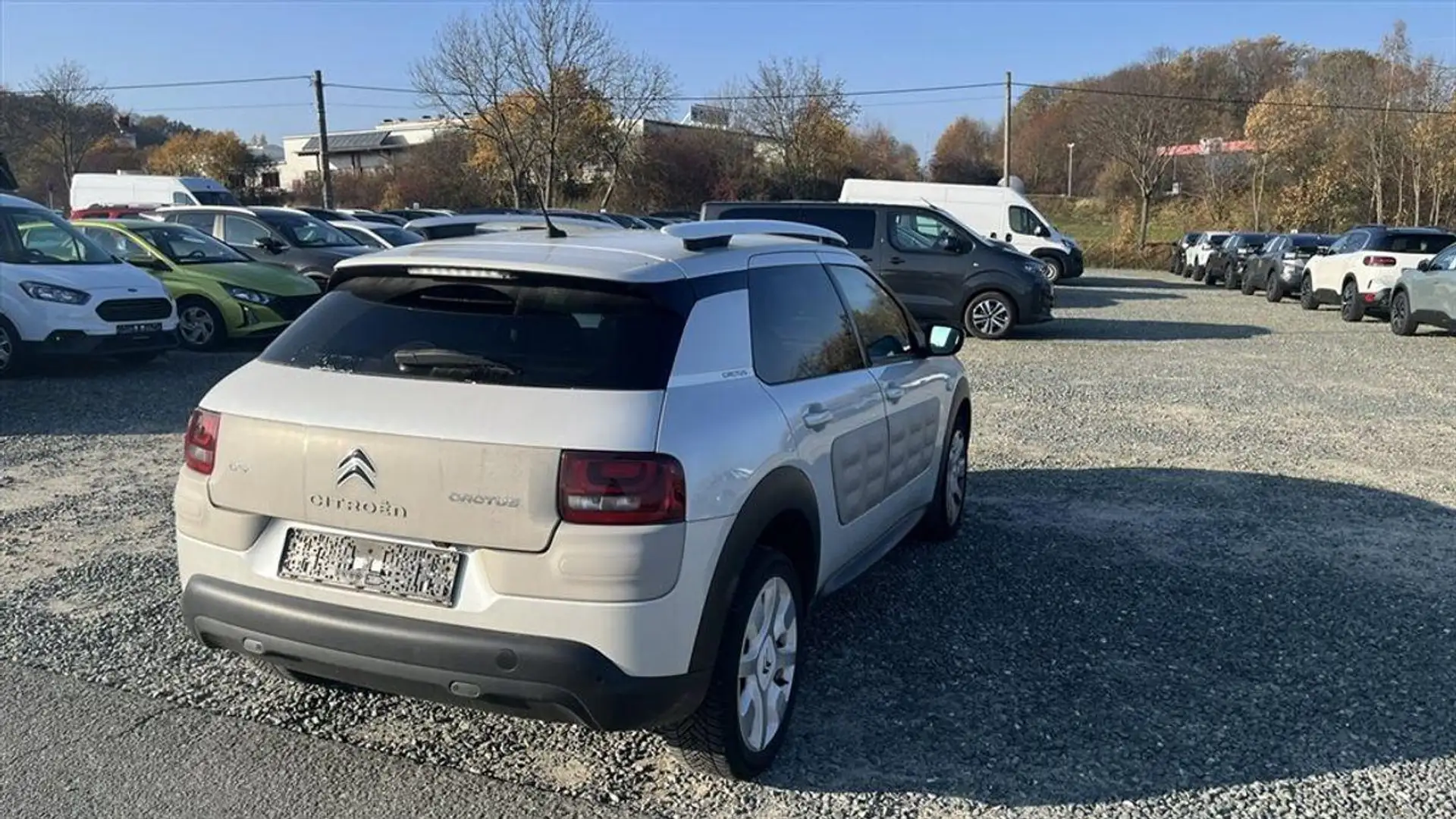 Citroen C4 Cactus 1,2 Navigation Sitzheizung Weiß - 2
