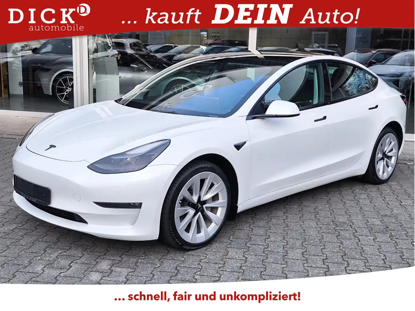 Tesla Model 3 Long Range Dual AWD PANO+STDHZ+LED+ACC+ Weiß - 1