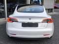 Tesla Model 3 Long Range Dual AWD PANO+STDHZ+LED+ACC+ Weiß - thumbnail 8