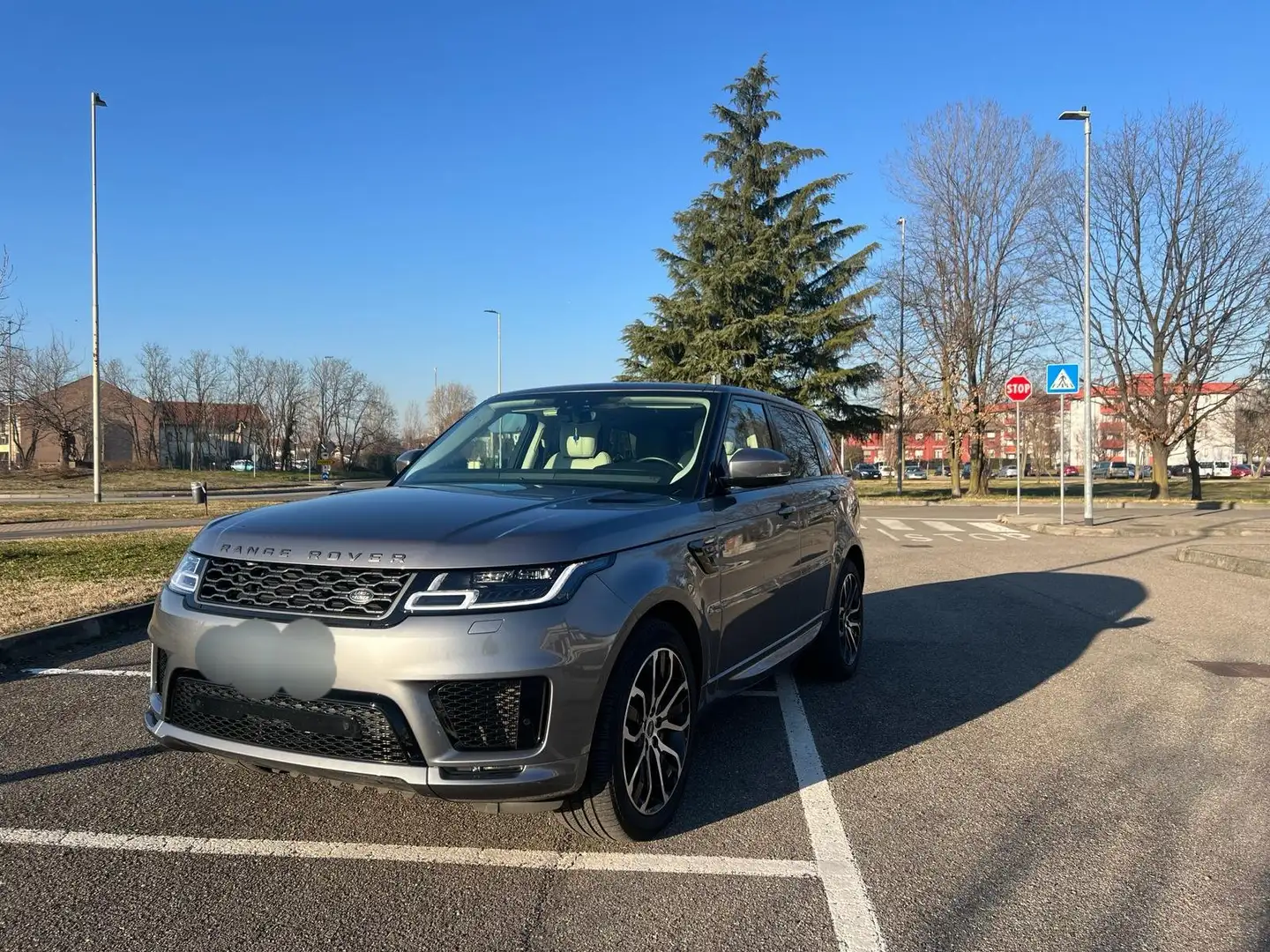 Land Rover Range Rover Sport Range Rover Sport 3.0d mhevHSE Dynamic 249cv auto Grigio - 1