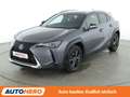 Lexus UX 250h UX 250h Amazing Edition Aut.*ACC*PDC*SHZ* Grau - thumbnail 1