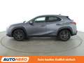 Lexus UX 250h UX 250h Amazing Edition Aut.*ACC*PDC*SHZ* Grau - thumbnail 3