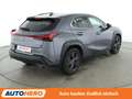 Lexus UX 250h UX 250h Amazing Edition Aut.*ACC*PDC*SHZ* Grau - thumbnail 6