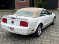 Ford Mustang Cabrio 45th anniversary Weiß - thumbnail 7