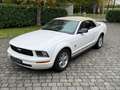 Ford Mustang Cabrio 45th anniversary Weiß - thumbnail 1