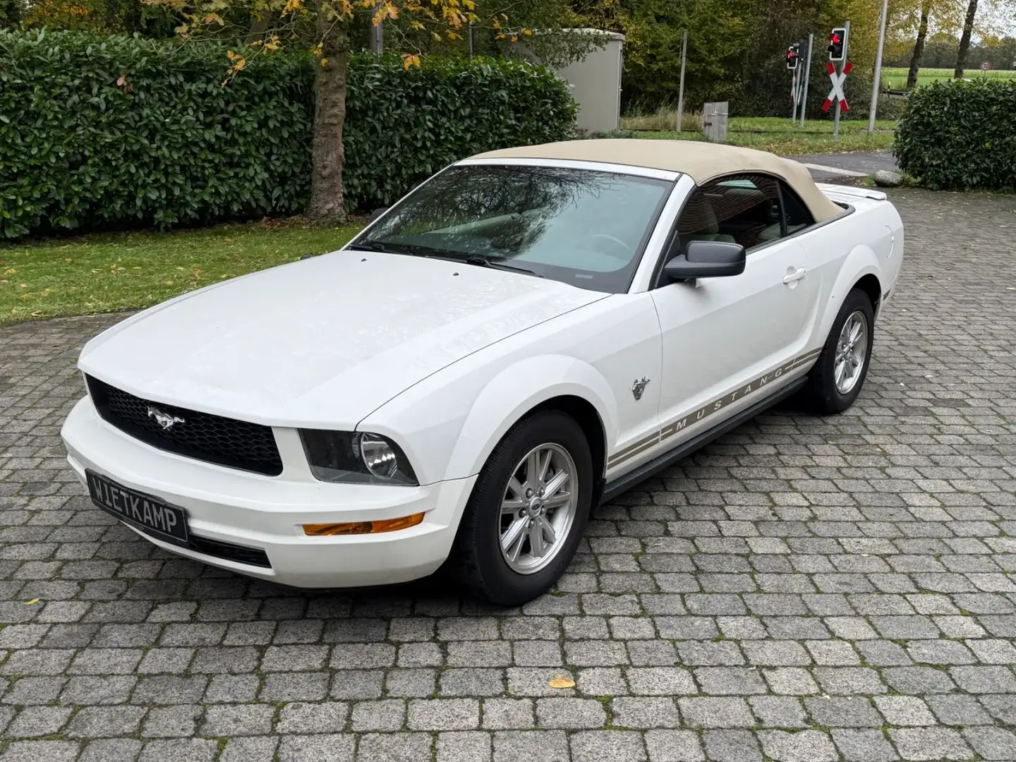 Ford Mustang Cabrio 45th anniversary Weiß - 1