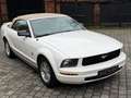 Ford Mustang Cabrio 45th anniversary Weiß - thumbnail 8