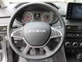 Dacia Jogger TCe 100 ECO-G Extreme *Autogas Grau - thumbnail 23