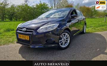1.0 EcoBoost Trend 101PK | Rijklaarprijs | Elektri
