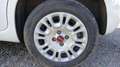Fiat Panda III 1.2 8V 69 Cool Blanc - thumbnail 19