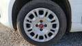 Fiat Panda III 1.2 8V 69 Cool Blanc - thumbnail 18