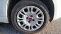 Fiat Panda III 1.2 8V 69 Cool Blanc - thumbnail 17