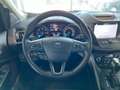 Ford Kuga Business Edition 2.0 tdi 120cv Auto 36 MESI DI GAR Blanco - thumbnail 12