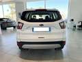 Ford Kuga Business Edition 2.0 tdi 120cv Auto 36 MESI DI GAR Blanco - thumbnail 6