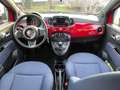 Fiat 500 1.0 Hybrid Cult NEOPATENTATI PROMO!! Rosso - thumbnail 14