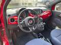 Fiat 500 1.0 Hybrid Cult NEOPATENTATI PROMO!! Rosso - thumbnail 13