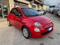 Fiat 500 1.0 Hybrid Cult NEOPATENTATI PROMO!! Rosso - thumbnail 1