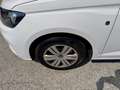 Volkswagen Caddy Life 2.0 TDI 1. Besitz Weiß - thumbnail 6
