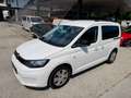 Volkswagen Caddy Life 2.0 TDI 1. Besitz Weiß - thumbnail 5
