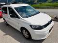 Volkswagen Caddy Life 2.0 TDI 1. Besitz Weiß - thumbnail 4