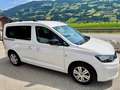Volkswagen Caddy Life 2.0 TDI 1. Besitz Weiß - thumbnail 12