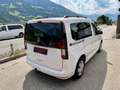 Volkswagen Caddy Life 2.0 TDI 1. Besitz Weiß - thumbnail 10