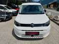 Volkswagen Caddy Life 2.0 TDI 1. Besitz Weiß - thumbnail 2