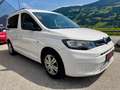 Volkswagen Caddy Life 2.0 TDI 1. Besitz Weiß - thumbnail 3