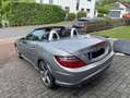 Mercedes-Benz SLK 250 SLK 250 BlueEfficiency Edition 1 (172.447) Argintiu - thumbnail 7