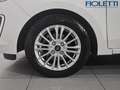 Ford Ka/Ka+ 1.2 85 CV START&STOP ULTIMATE Bianco - thumbnail 12