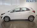 Ford Ka/Ka+ 1.2 85 CV START&STOP ULTIMATE Bianco - thumbnail 4