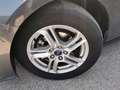 Ford Focus 1.5 EcoBlue 120cv 5p. Business Grigio - thumbnail 5