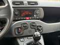 Fiat Panda 1.0 FireFly Hybrid GARANTITA Grau - thumbnail 7
