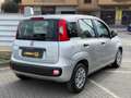 Fiat Panda 1.0 FireFly Hybrid GARANTITA Grau - thumbnail 6