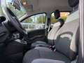 Fiat Panda 1.0 FireFly Hybrid GARANTITA Grau - thumbnail 9