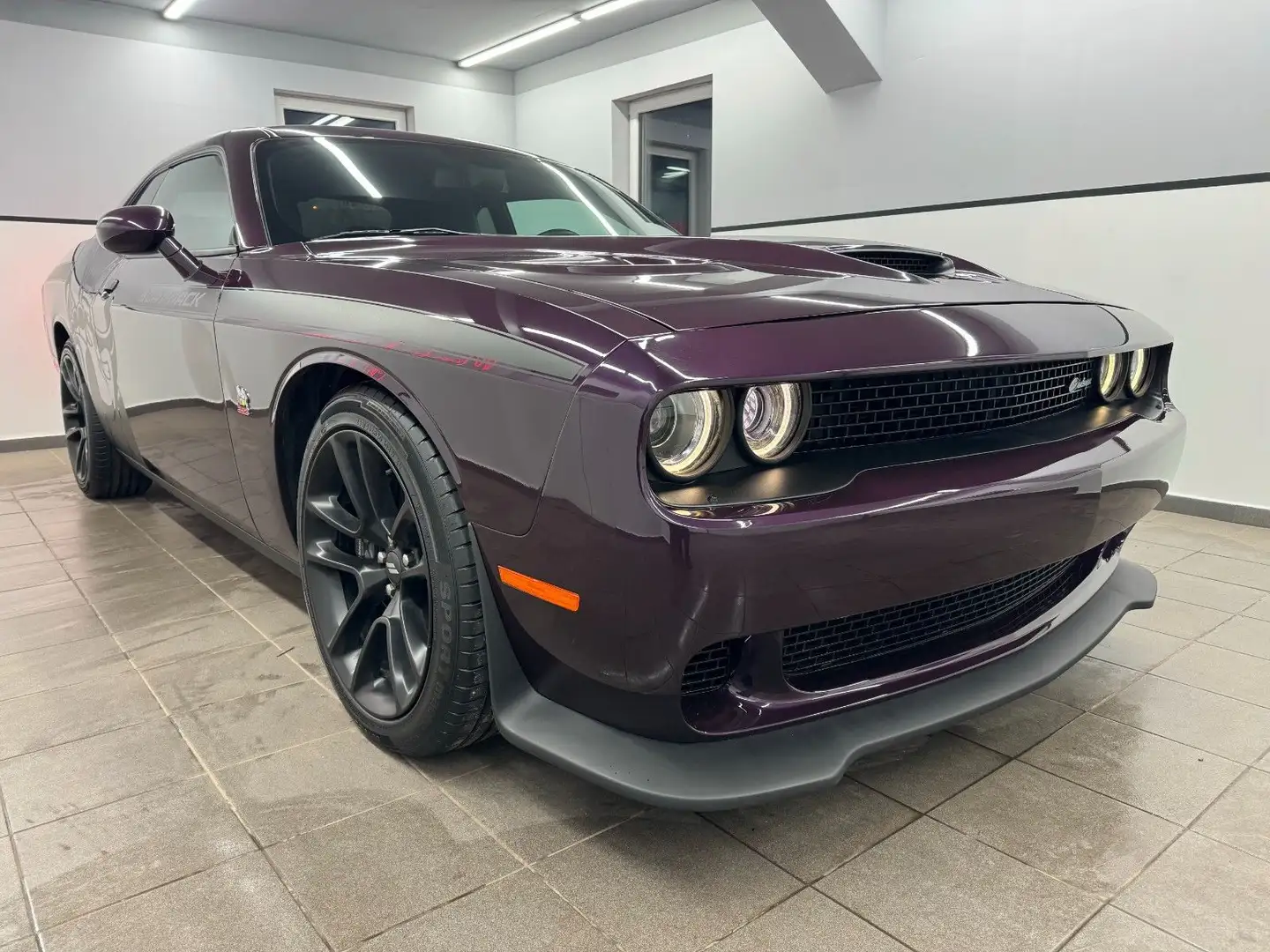 Dodge Challenger SRT 6.4 V8 Schalter/ScatPack/Harm.K/ Mauve - 2