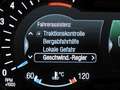 Ford Galaxy 2.5 Hybrid TITANIUM (AHK+LED+ACC+Kamera) Niebieski - thumbnail 10