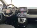 Fiat Panda 1.0 firefly hybrid Cross s&s 70cv 5p.ti Blanc - thumbnail 10
