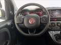 Fiat Panda 1.0 firefly hybrid Cross s&s 70cv 5p.ti Blanc - thumbnail 7