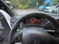 Renault Master Combi L2H2 dCi 110 S&S - thumbnail 19