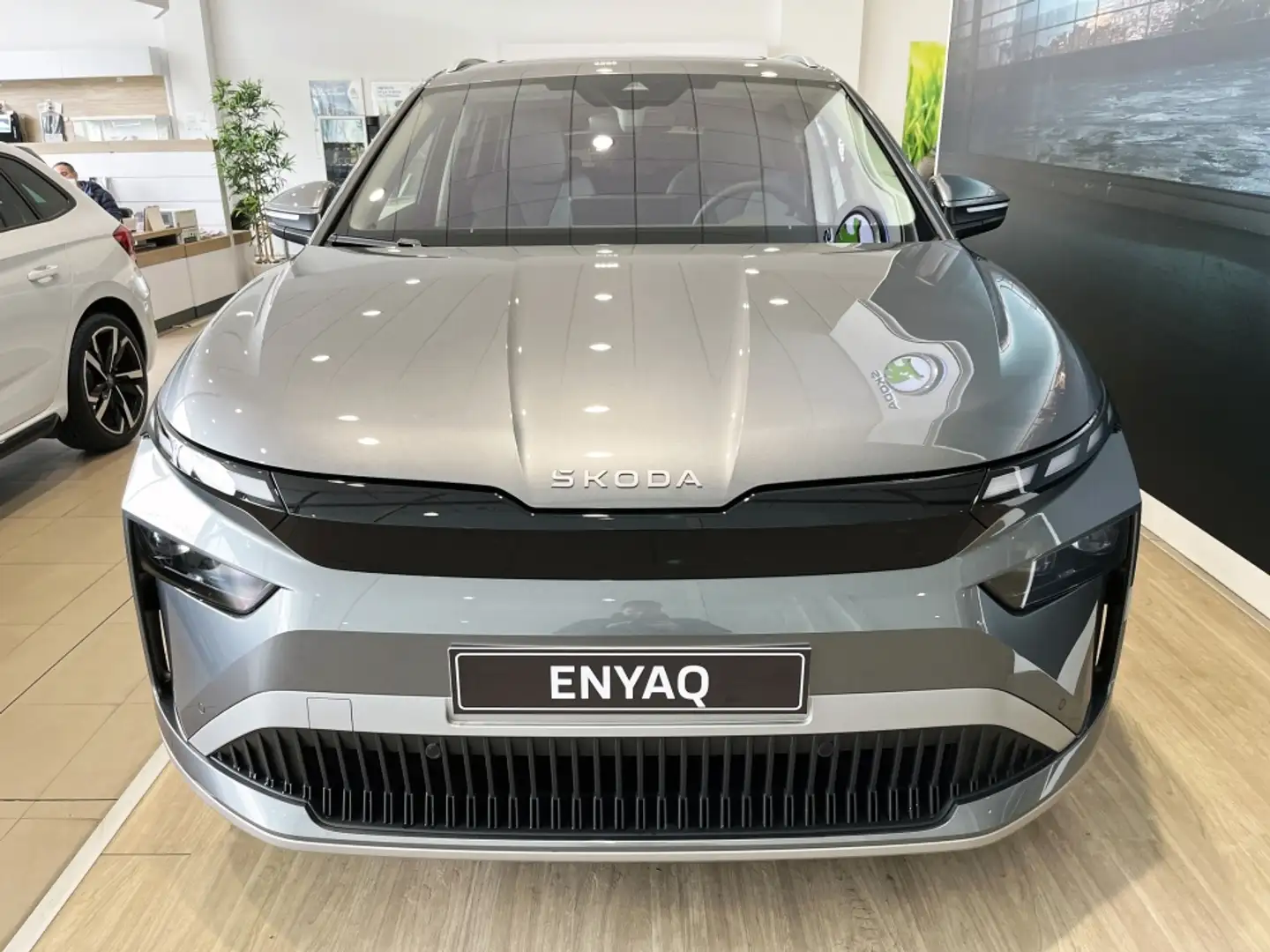 Skoda Enyaq 85 210kW Серый - 2