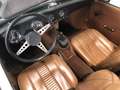 MG Midget MK III M1025 Vert - thumbnail 22