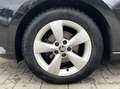Skoda Fabia 1.4 TDI JOY / Airco / Cruise control / APK Nero - thumbnail 23
