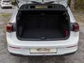 Volkswagen Golf VIII 2.0 TDI Life FAHRSCHULWAGEN PANORAMA DOPPE... Blanc - thumbnail 15