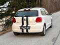 Volkswagen Polo 1.2b Team neues Pickerl nur 69.000km Weiß - thumbnail 8