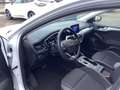 Ford Focus Turnier Cool & Connect*LED*KAMERA* Blanco - thumbnail 7